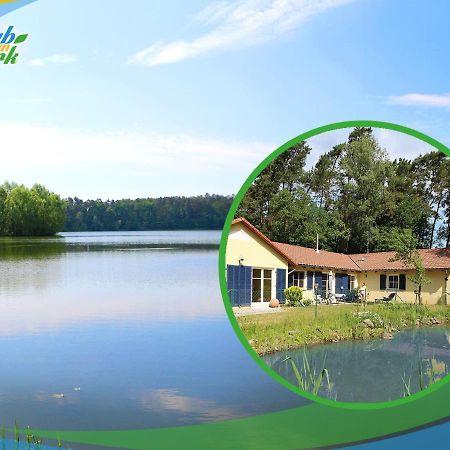 Familien-Suite-Im-Wald-Am-See Bork Esterno foto