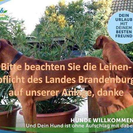 Familien-Suite-Im-Wald-Am-See Bork Esterno foto